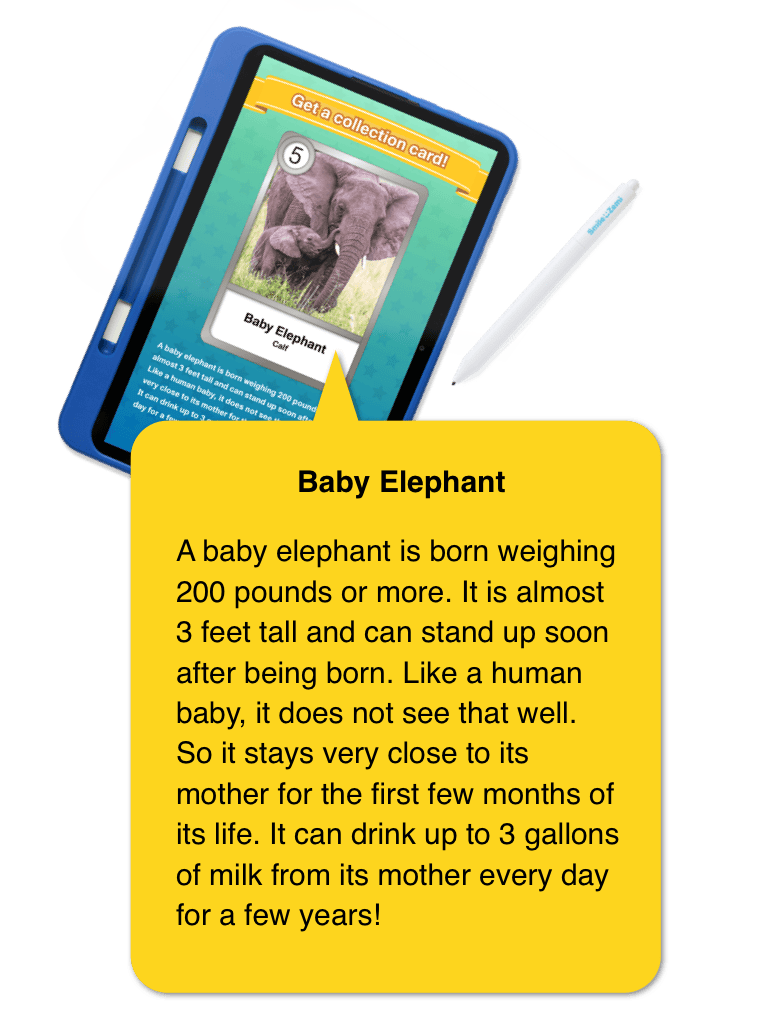 Baby Elephant: A baby elephant is born weighing 200 pounds or more. It is almost 3 feet tall and can stand up soon after being born. Like a human baby, it does not see that well. So it stays very close to its mother for the first few months of its life. It can drink up to 3 gallons of milk from its mother every day for a few years!