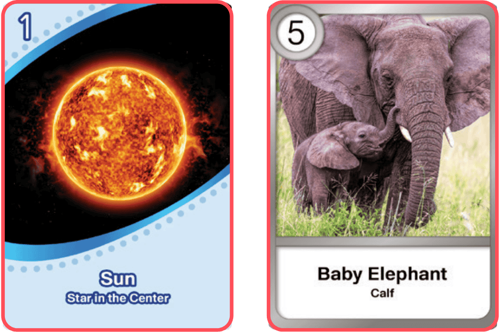 Collection Cards